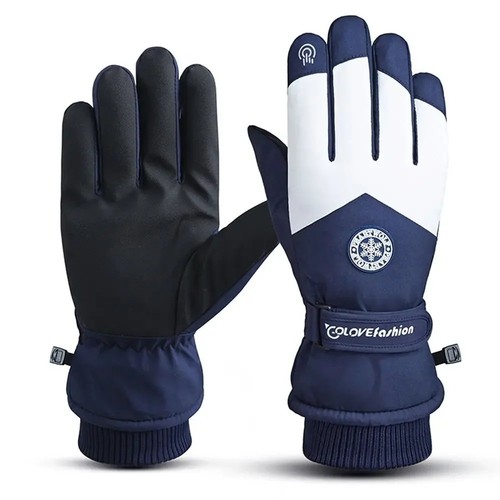 Winter ski snowboard - ski, gloves