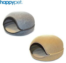 BUSTER & BEAU CAT KITTEN OSLO