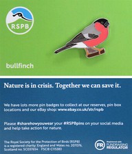 RSPB Pin Badge NIIC Bullfinch