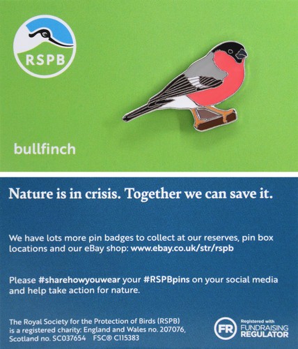 Rspb pin badge niic - pin,