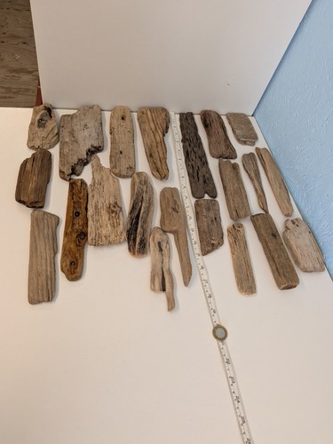 Bundle flat driftwood - of,