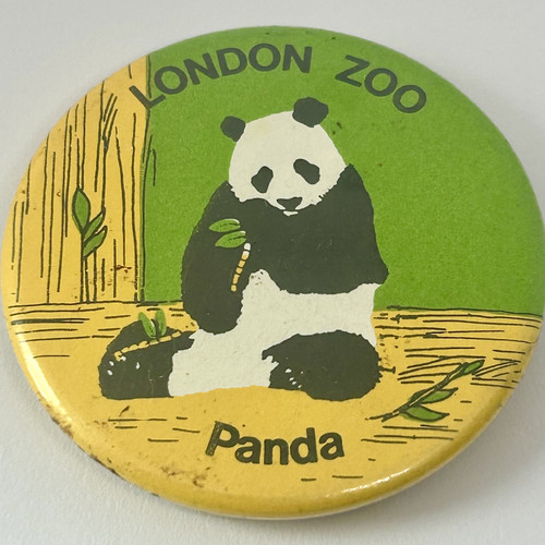 London zoo panda - zoo,