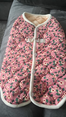 Dog coat for 6kg size - for, m