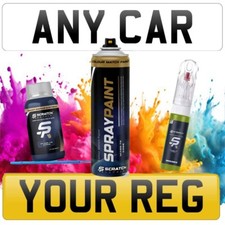 Touch Up Paint Mixed From Car Registration Reg Touch Up Pen Bottle Brush Aerosol