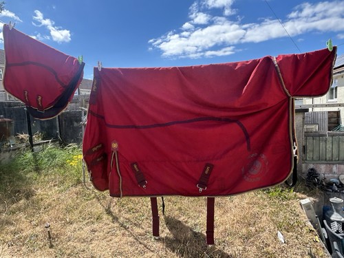 Premier equine akoni - premier,