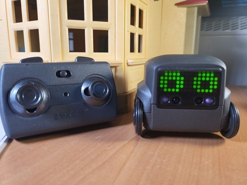 Boxer interactive robot - boxer,