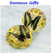 4" New! Black Blue BUTTERFLY