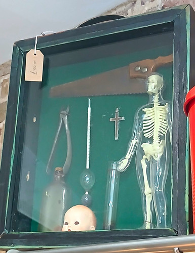 Human skeleton anatomical - human,