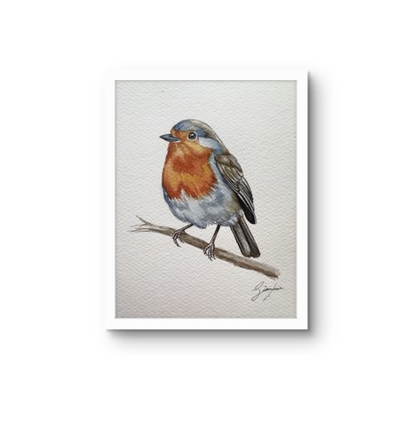 Original robin bird watercolor - original,