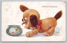 M. Knight & A.E. Kennedy PC