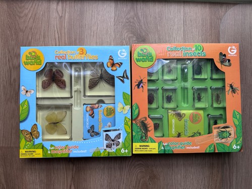 Geoworld sets bugs - of,