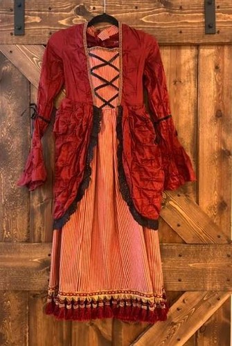 Girls victorian costume dress - girls,