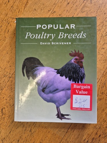 Popular poultry breeds david - poultry,