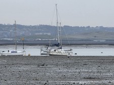 Sailing Boats and Yachts for