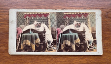 Vintage Stereograph –