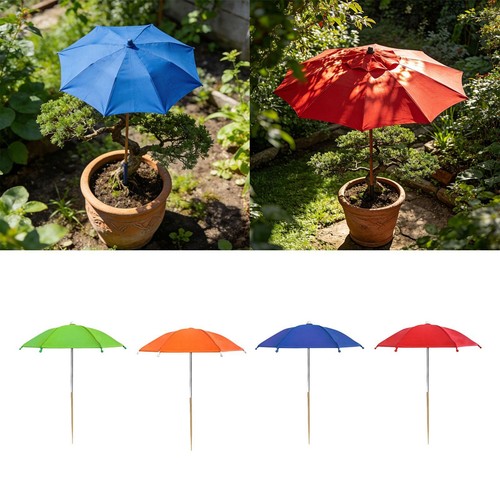 Patio plant umbrella sun - patio,