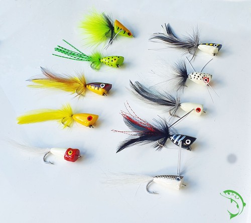 Surface popper fly topwater - popper,