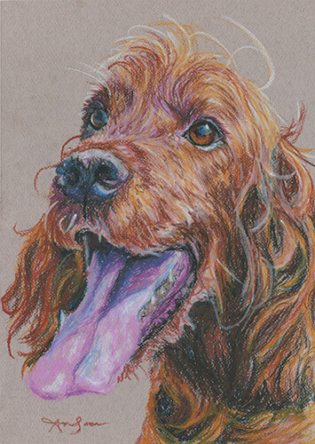 Original dog artwork irish - original,