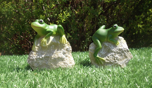 Pair frogs 11cm 10cm - x, x