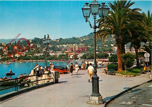Picture postcard rapallo - picture, postcard>>rapallo