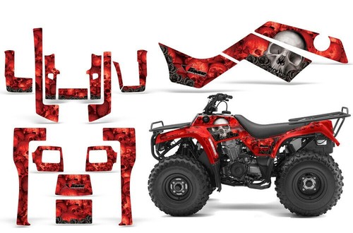 Atv graphics kit quad decal - quad,
