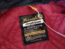 Suswin Mascot Amphibian