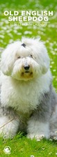 Old English Sheepdog 2026 Slim
