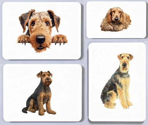 Airedale terrier picture - airedale,