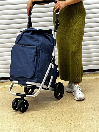 Large wheel shopping trolley - large,