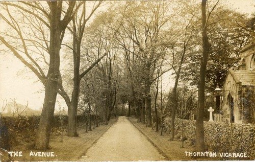 Real photo postcard the - photo,