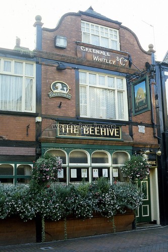 Pu4180 cheshire the - cheshire,
