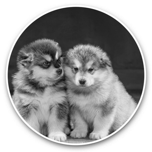 Vinyl stickers 15cm - x, (bw)