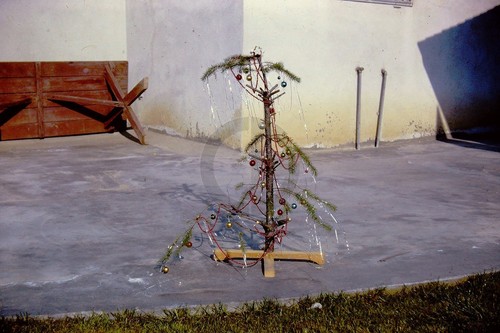 Real life tree inspired - real,