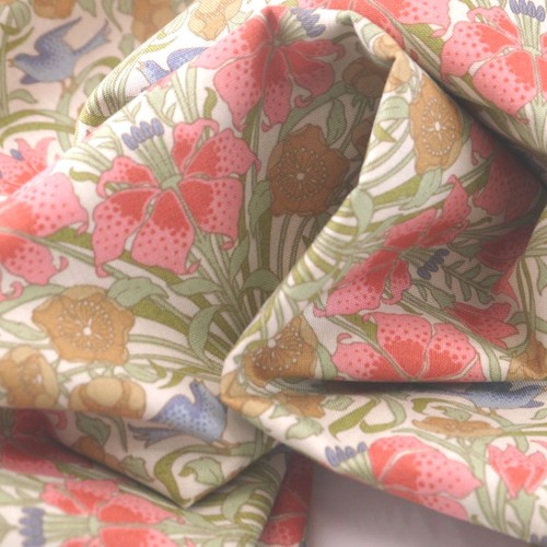 Songbird coral - songbird-, coral-