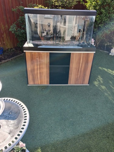 4ft fish tank plus - fish,