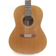 Seagull Mahogany Folk Acoustic