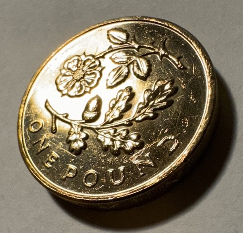 2013 one pound coin - one,