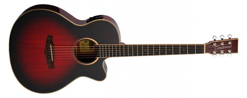 Tanglewood winterleaf tw4ce - winterleaf,