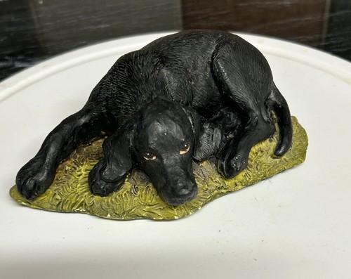 Black labrador retriever dog - /,