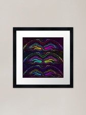 Seahorse framed art print - framed,