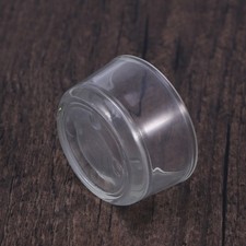  Bearded Dragon Food Dish