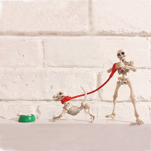 Miniatures pose skeleton dog - miniatures,