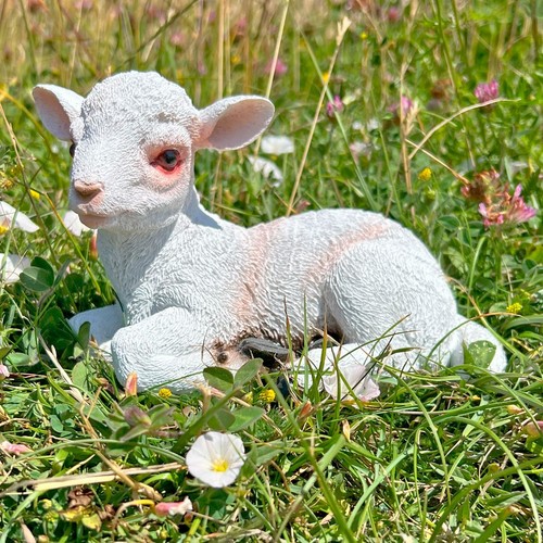 Lamb garden animal ornament - lamb,