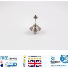 Spotlight Bulb 1987302078 for