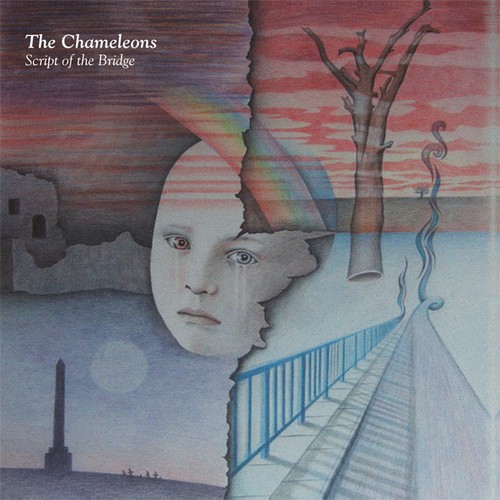 The chameleons script - the,