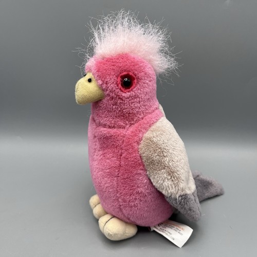 International galah - k&m,