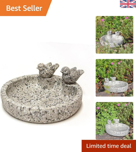 Durable concrete bird - concrete, bath