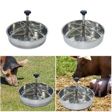Pig feed trough piglet feeding - pig,
