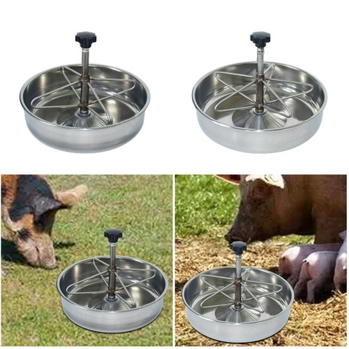 Pig feed trough piglet feeding - pig,