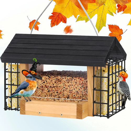 Hopper bird feeder for - bird,